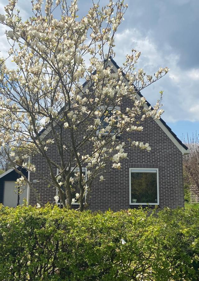 Ferienhaus Knusse Vakantiewoning *